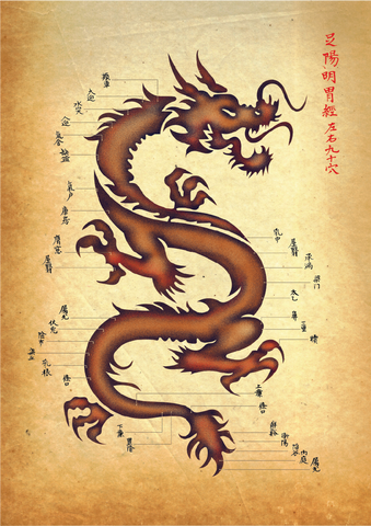 Acupuncture Dragon - Sticker