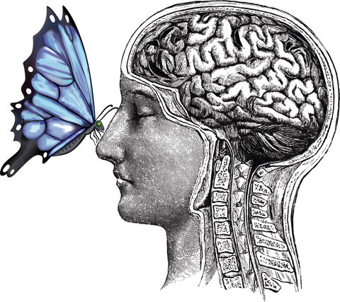 Butterfly Brain - Sticker