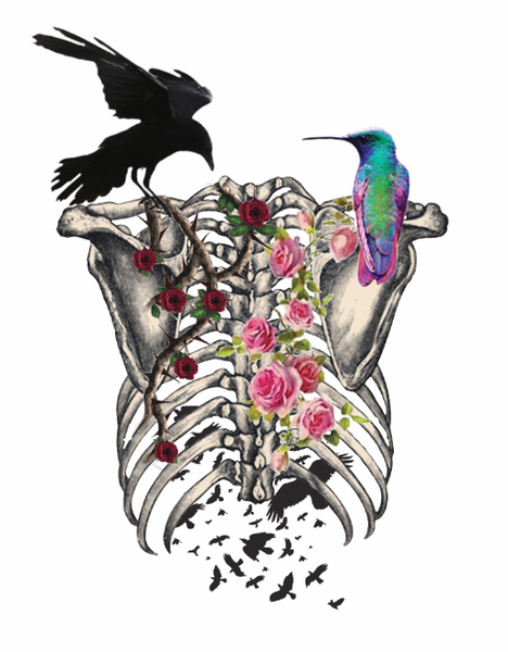 Conscience Raven - Sticker – SCU Campus Store