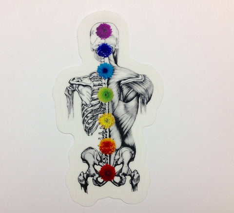 Chakra Spine - Sticker