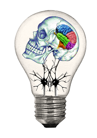 Lights On Brain - Sticker