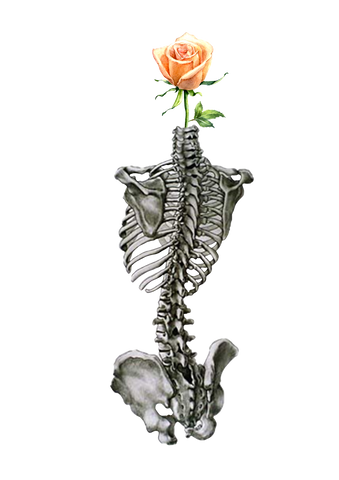 Spine Rose - Sticker