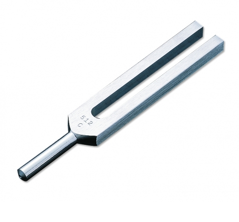Tuning Fork - ADC 512