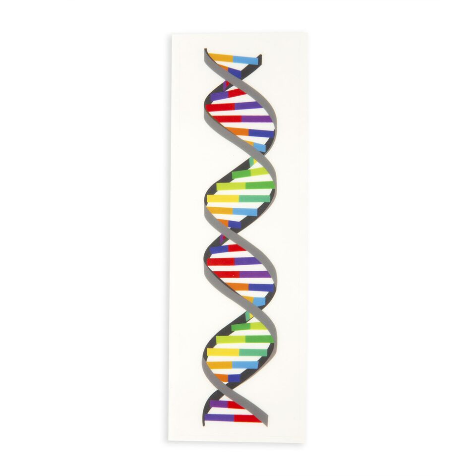 DNA Strand - Sticker – SCU Campus Store